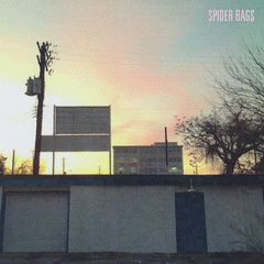 Spider Bags - Someday Everything Will Be Fine (2018) 320 KBPS