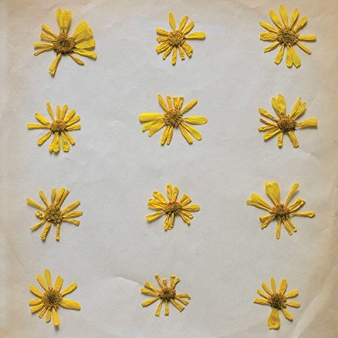 The Molochs - Flowers in the Spring (2018) 320 KBPS