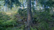 Kuva