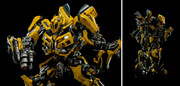 3 A Transformers Bumblebee 007 1417704751