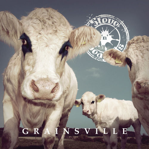 Steve ‘n’ Seagulls - Grainsville (2018) 320 KBPS