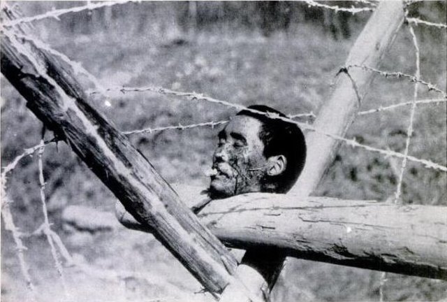 Cabeza de un hombre chino decapitado expuesto en unabarricada, 14 de diciemre de 1937