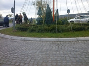 Slika