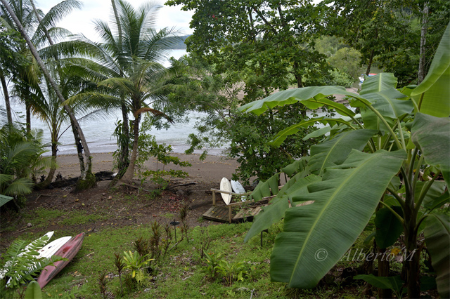 Reportaje fotográfico Costa Rica - Septiembre 2015 - Blogs de Costa Rica - Reportaje fotográfico Costa Rica - Septiembre 2015 (Parte I) (19)
