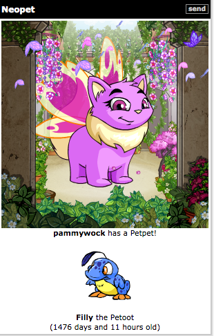 Neopets Hide And Seek