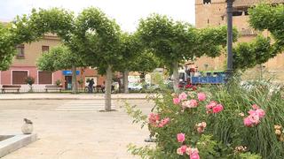 TBS_G-54_VIA_220180702-125241.jpg