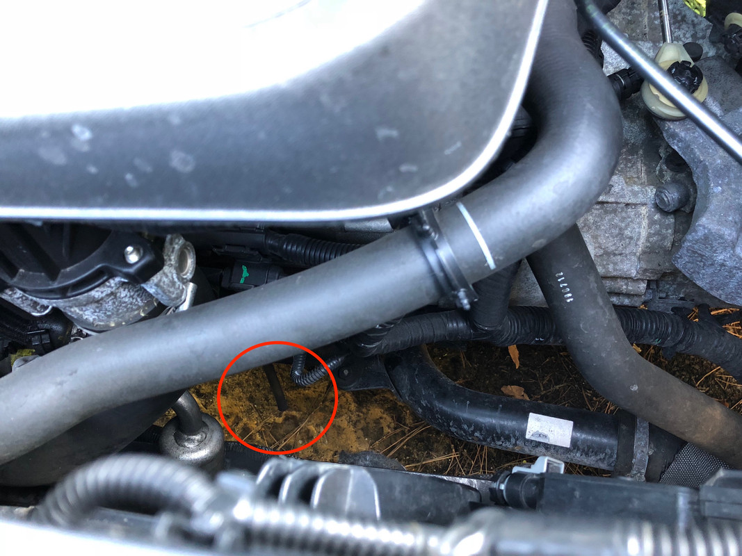 Ford S-Max - What are these pipes? | Overclockers UK Forums