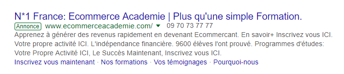 Exemple_annonce_google_ads.png