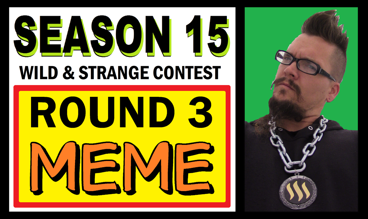 WILD_STRANGE_15-3.png