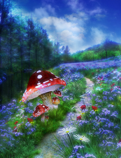 Fairy Meadow Backgrounds