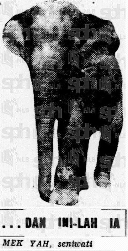 Kisah Mek Yah, Gajah Dari Perak Yang Berjalan Lebih 200 Batu
