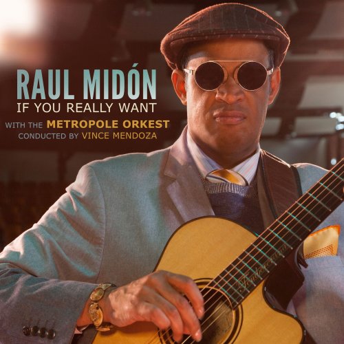 Raul Midon - If You Really Want (2018) 320 KBPS