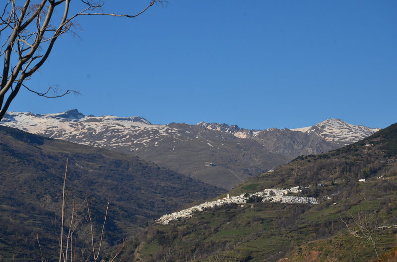 CAPILEIRA-10-3-2017-GRANADA - Los pueblos más bonitos de España-2010/2023 (39)