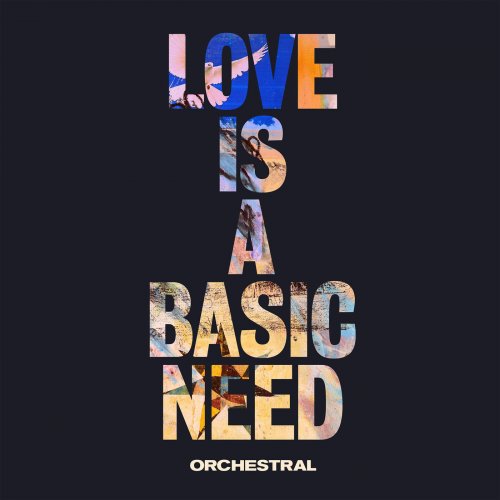 Embrace - Love is a Basic Need (Orchestral) (2018) 320 KBPS