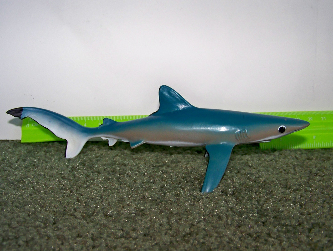 safari ltd blue shark