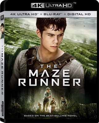 Maze Runner - Il Labirinto (2014) UHD 4K 2160p Video Untouched ITA DTS+AC3 ENG DTS HD MA+AC3 Subs