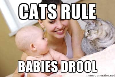 cats-rule-babies-drool.jpg