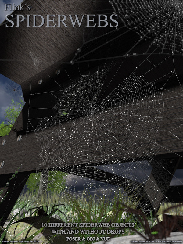 Flinks Spider Webs