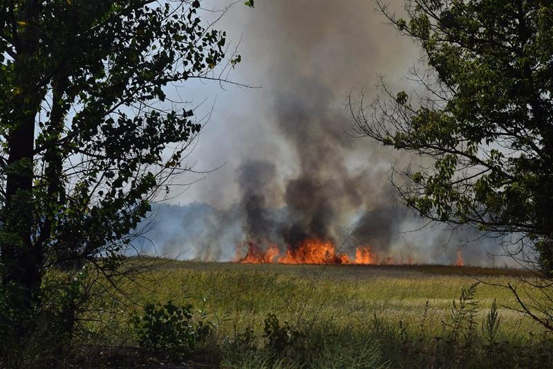 В Харьковской области три дня тушат крупный пожар (фото, видео)