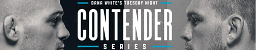 UFC: Tuesday Night Contender Series (2017)