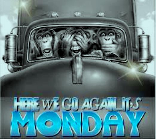Monday_Monkeys