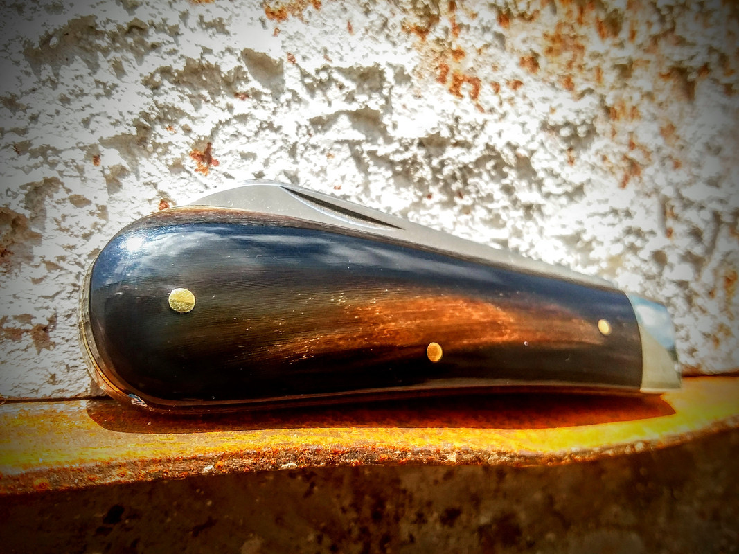 20180801_120959_2.jpg