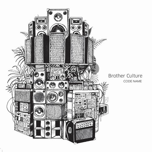Brother Culture - Code Name (2018) 320 KBPS