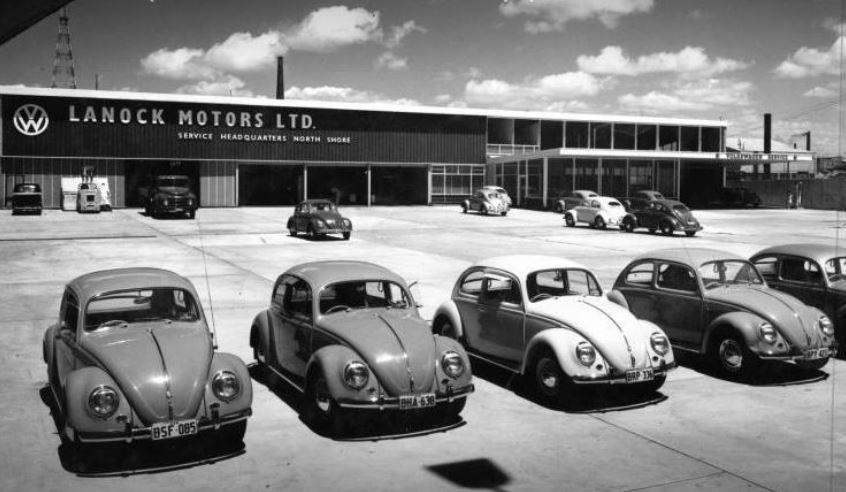 Beetles_at_Lanock_Motors_Ltd._North_shor