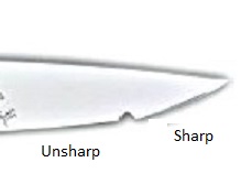 Hubertus_Falconer_Tip.jpg
