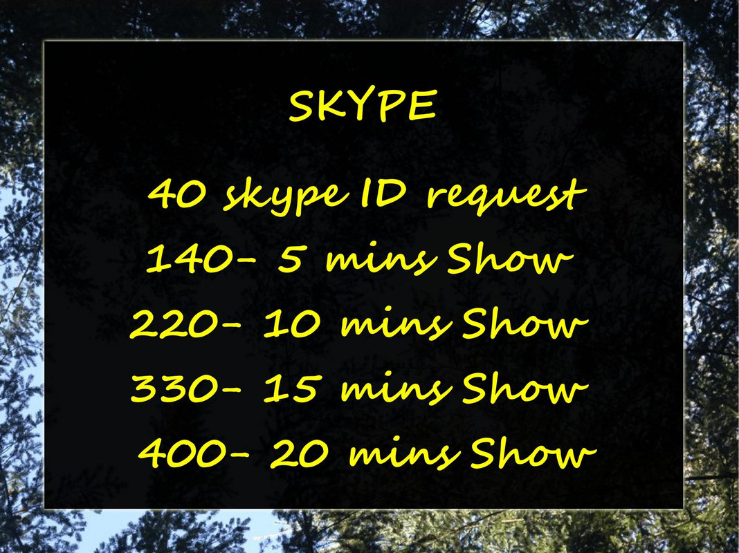 skype-page-001