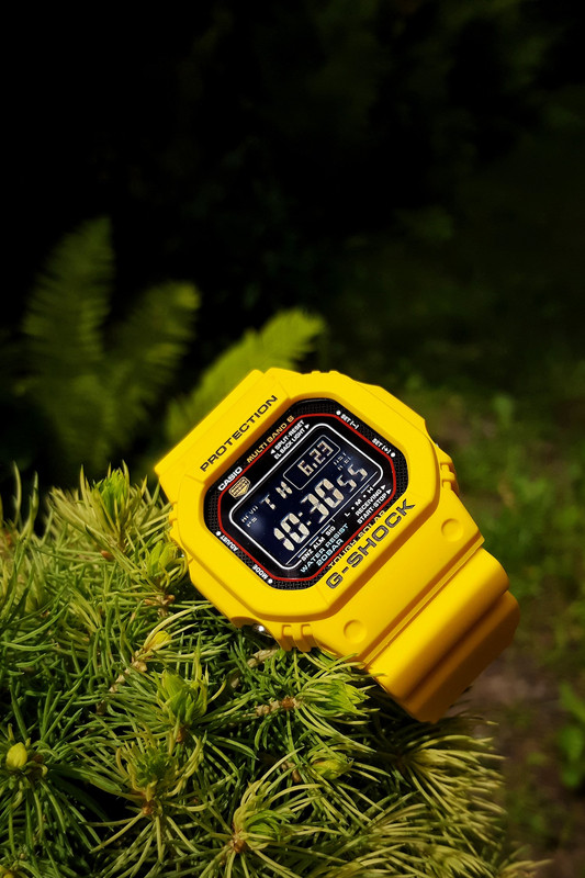 CASIO_G-SHOCK_GW-M5610_Nature.jpg