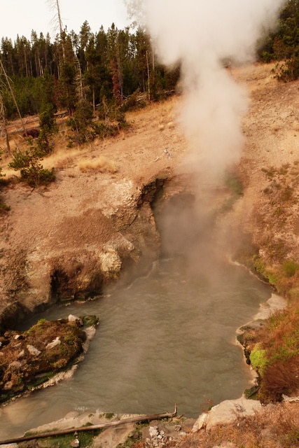 Día 15: Yellowstone IV: Y. Lake + Mud Volcano + Y. Canyon + Mammoth Hot H. - Las maravillas del Noroeste de los Estados Unidos (12)
