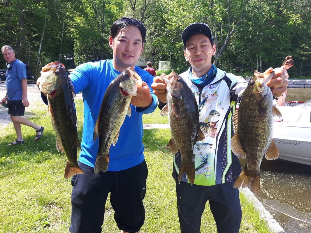Kawartha Lakes Outdoors - Gbay and Cameron lake fish porn - Fishing Forum